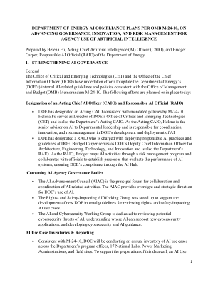 DOE 人工智能合规计划 9.23.24.pdf